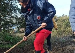 …Μελισσοκόμος για μια μέρα η Βούλα Πατουλίδου