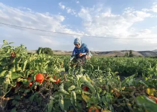 Τη δουλειά έχει η Εμινέ στο... χωράφι;