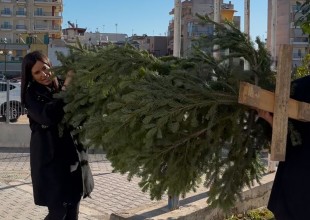 Η Θεσσαλονικιά βουλευτής που δώρισε δέκα χριστουγεννιάτικα δέντρα σε φορείς της Θεσσαλονίκης